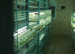 Створення сучасного освітнього середовища в аспекті викладання біології та хімії в Новій українській школі розглядали в Уманському НУС