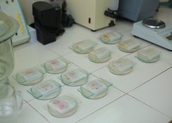 Створення сучасного освітнього середовища в аспекті викладання біології та хімії в Новій українській школі розглядали в Уманському НУС