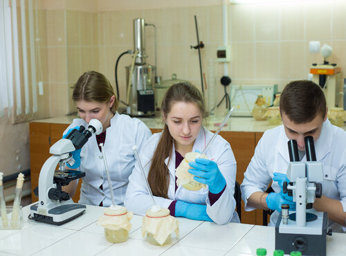 Міжнародний День жінок і дівчат у науці