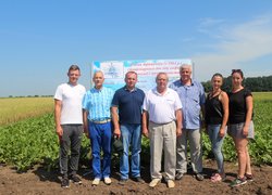 День поля в Уманському НУС