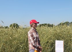 День поля в Уманському НУС
