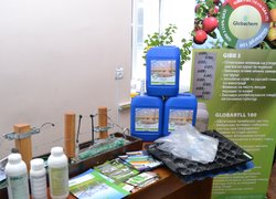 День саду збирає еліту садівничої галузі