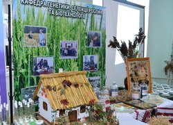 Аграрний Кембридж зустрічає гостей