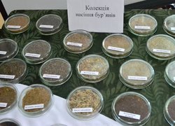 Аграрний Кембридж зустрічає гостей