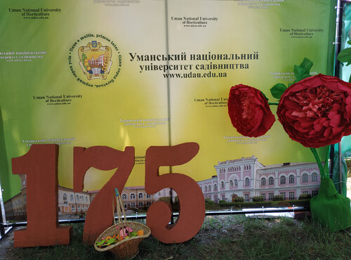Розфарбуй життя заради дітей!