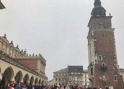 Студенти Уманського НУС відсвяткували День студента у Кракові