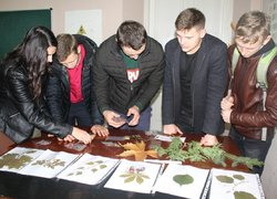 Цікавий квест студентів університету