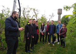 Розгортання градозахисної сітки в яблуневому саду голландського типу Уманського НУС