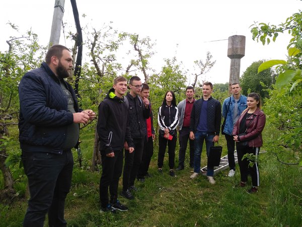 Розгортання градозахисної сітки в яблуневому саду голландського типу Уманського НУС