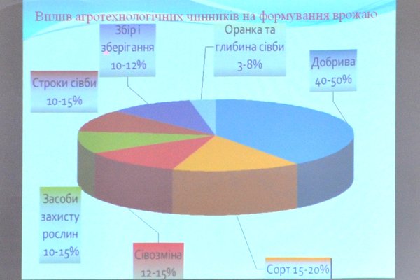 Ті, хто заворожує серця студентів професійністю та любов’ю до справи: Дню вчителя присвячується