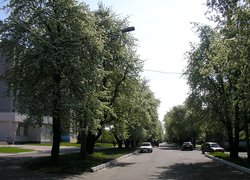 Студентське містечко