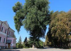 Студентське містечко