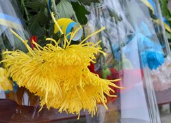 Гідність і свобода – у серцях українців