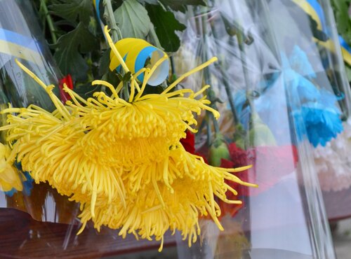 Гідність і свобода – у серцях українців