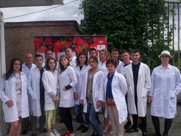 Familiarity with the production process in the food industry