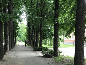 Бережімо довкілля!