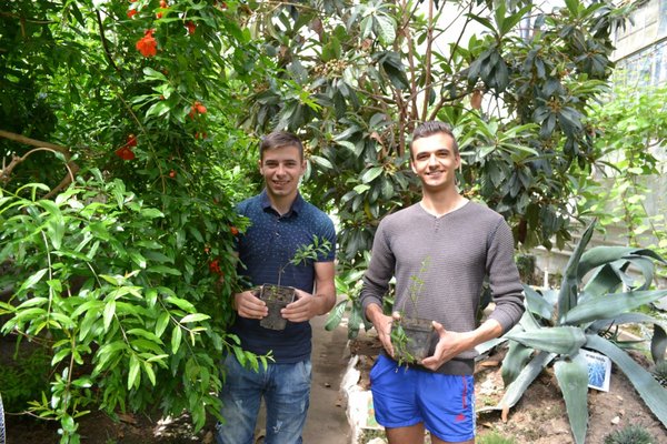 Industrial practice of students of the faculty in the greenhouse complex