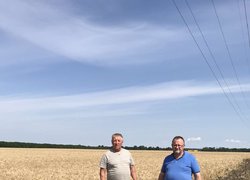 В Уманському НУС жнива на підході