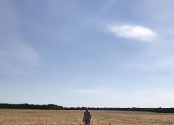 В Уманському НУС жнива на підході