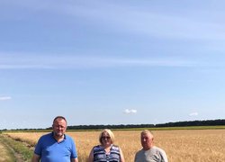 В Уманському НУС жнива на підході