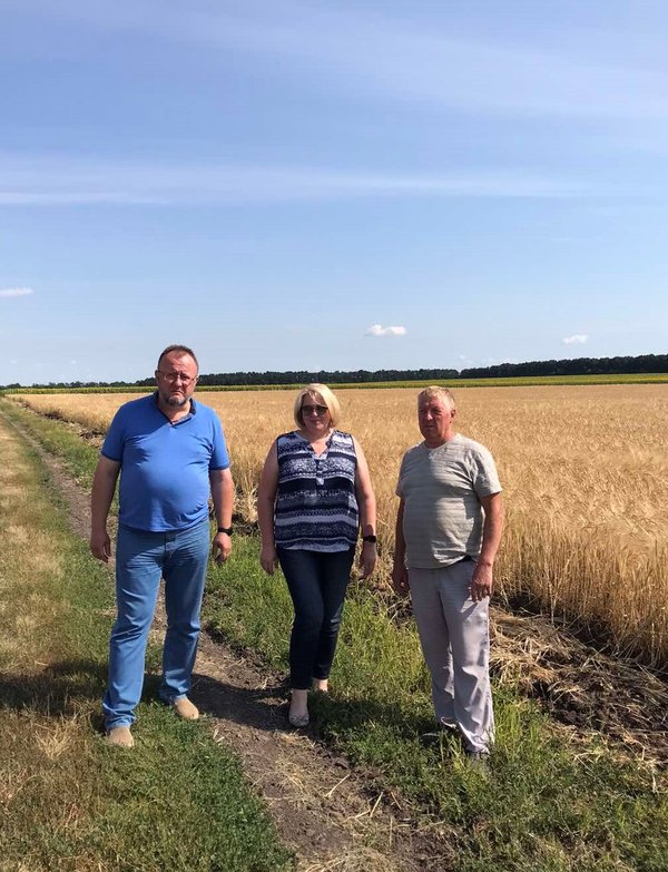В Уманському НУС жнива на підході