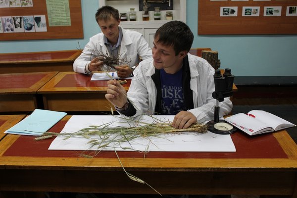 Practical lesson at the Department of Plant Protection and Quarantine
