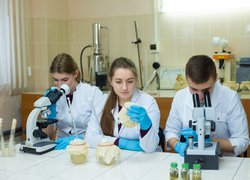 Laboratory lesson at the Department of Biology
