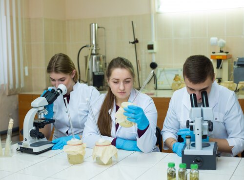 Become a student of the Faculty of Horticulture, Ecology and Plant Protection
