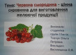 Наука без обмежень: відбулася традиційна студентська наукова конференція
