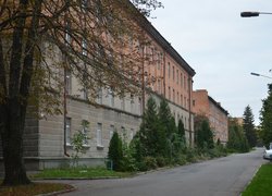 За комфортним навчанням й актуальними знаннями – в Уманський НУС