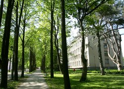 За комфортним навчанням й актуальними знаннями – в Уманський НУС