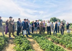 Круглий стіл «Ветеран. Освіта. AGROSTART-UP»: діалог заради майбутнього