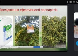 День саду в Уманському НУС
