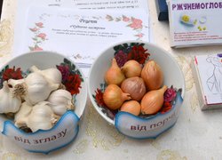 Карантинний День здоров’я в Уманському НУС