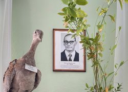 Таємниця експонатів Уманського НУС