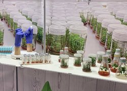 Садівники України зібралися на міжнародній виставці Fresh Business Expo