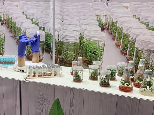 Садівники України зібралися на міжнародній виставці Fresh Business Expo