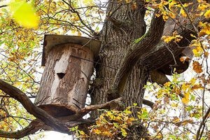Іполит Іванович Корабльов - основоположник раціонального бджільництва в Україні