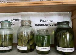 Вікова колекція овочів, що живе в Уманському НУС