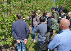 Industrial practice in the course "Innovative technologies in horticulture". Norway-Ukraine Project
