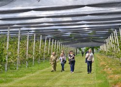 Industrial practice in the course "Innovative technologies in horticulture". Norway-Ukraine Project