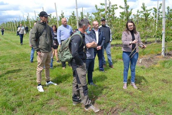Industrial practice in the course "Innovative technologies in horticulture". Norway-Ukraine Project