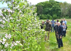 Industrial practice in the course "Innovative technologies in horticulture". Norway-Ukraine Project