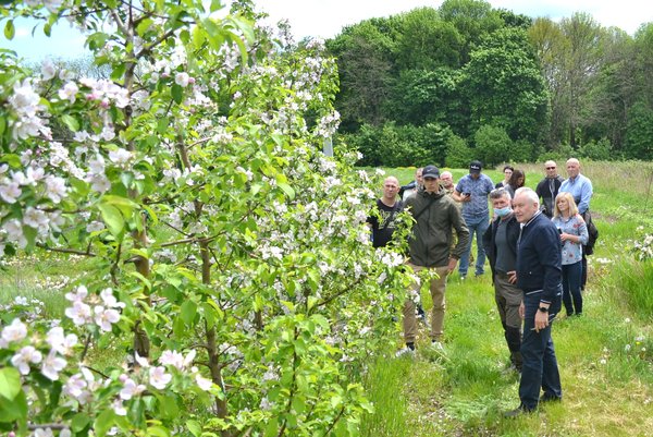 Industrial practice in the course "Innovative technologies in horticulture". Norway-Ukraine Project