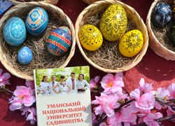 Писанка – оберіг для родини на цілий рік