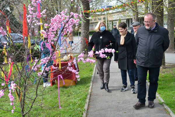 Писанковий сад розквітнув в Уманському НУС