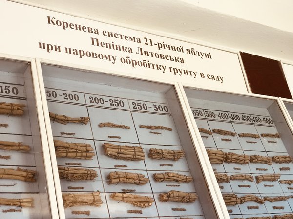Експозиція коріння Уманського НУС -  унікальний доробок великого вченого