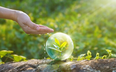 Plant Protection and Quarantine