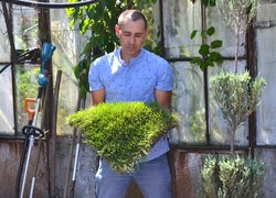 «Ландшафтний дизайн для родини, громади, України»: завершився третій етап проєкту «Норвегія – Україна»