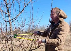 Весняна обрізка стартувала в Уманському НУС
